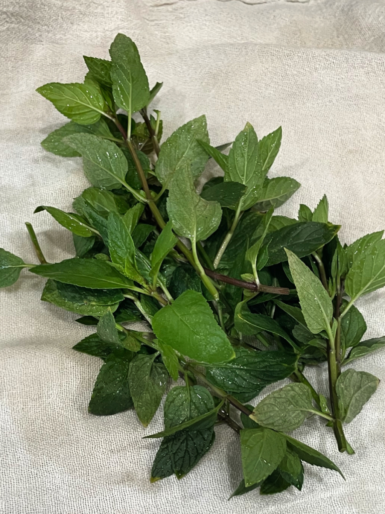 wet peppermint leaves sitting on a white towel.