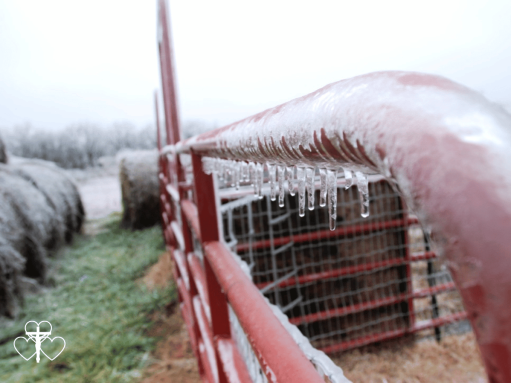 Picture of an ice covered fence with hay bales in the background.