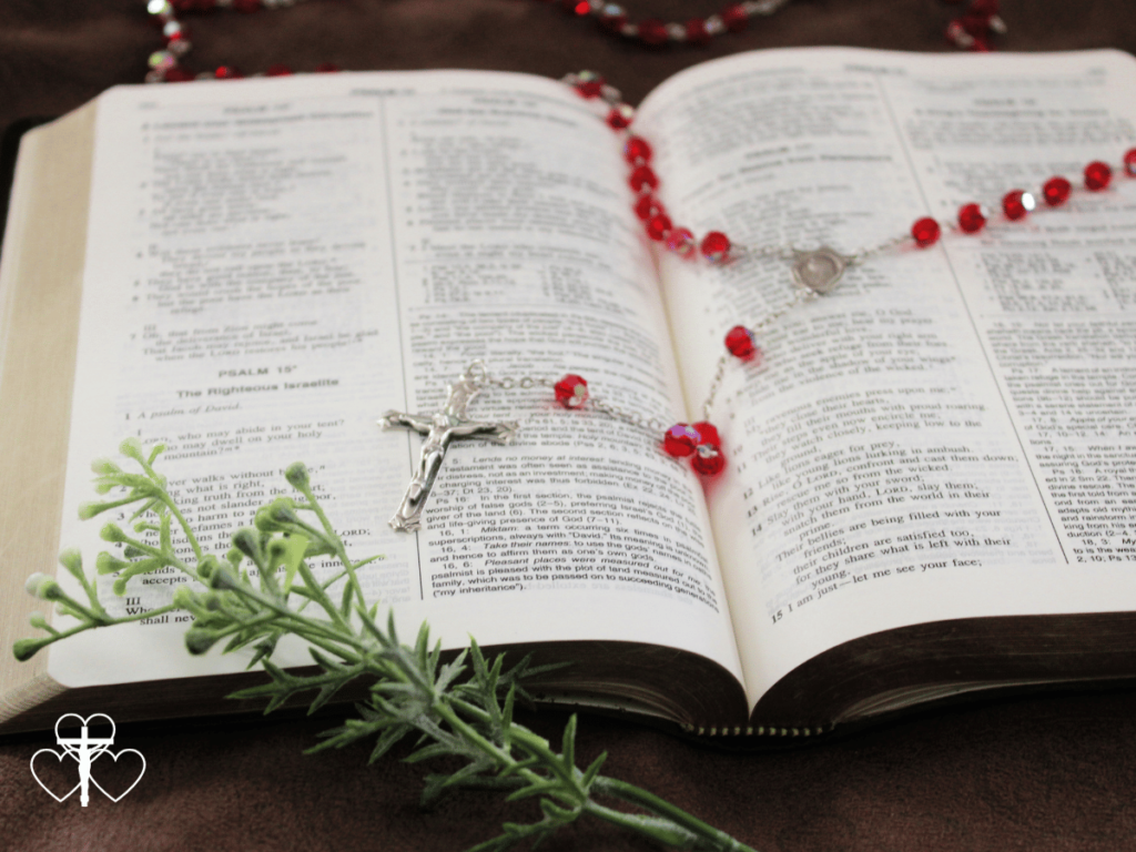 Picture of an open Bible with a red rosary draped over the pages and a twig of greenery sitting next to it.