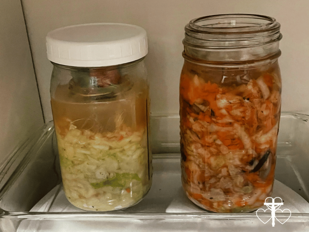 Picture of lacto fermented vegetables - curtido and sauerkraut. 
