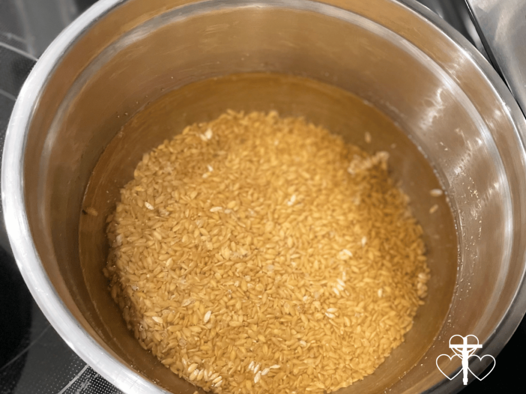 Picture of einkorn wheat berries soaking in water in a metal bowl.